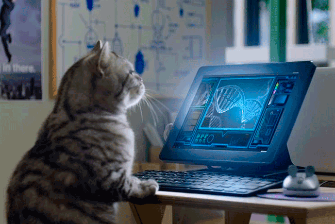 La marca de alimentación para gatos, Whiskas, fue una de las ganadoras, gracias a su campaña KIT.