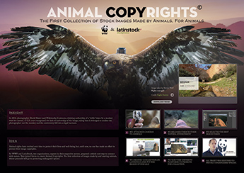 "Animal copyrights", de Cheil Spain Madrid para WWF LatinStock, león de bronce. 
