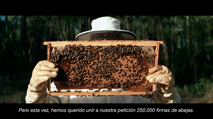 Salva las abejas Tiempo BBDO Greenpeace