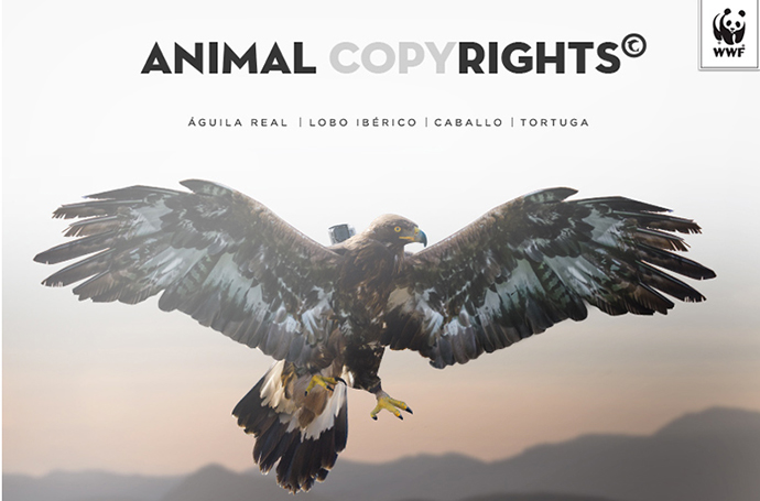 Animal Copyrights-WWF-Cheil-FIAP