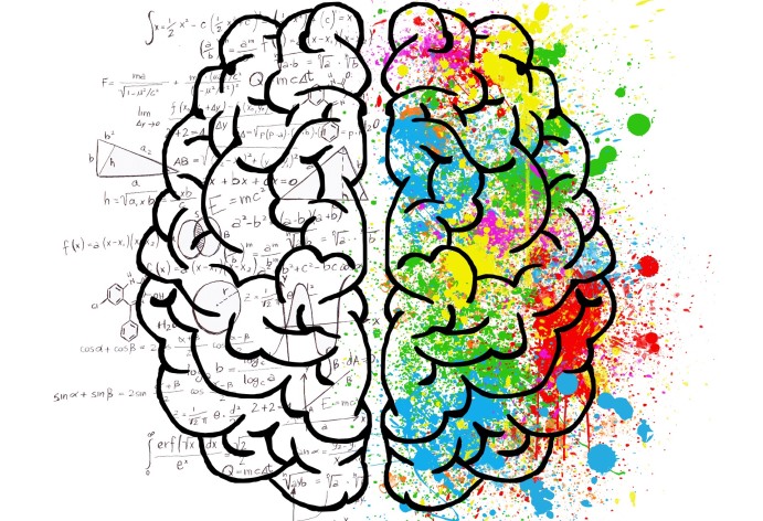 Dibujo de la sección de un cerebro en el que se se ve el lóbulo izquierdo estampado de números y ecuaciones y el derecho, de colores.
