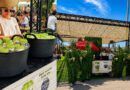 Kaiku Matcha Latte convierte la espera de Bad Bunny en Madrid en una experiencia de marca