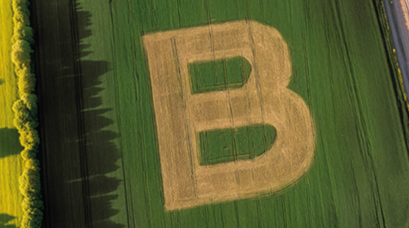 Bonduelle acompaña el anuncio con varios indicadores asociados a su estrategia. Entre ellos, destaca la formación de 11.000 chefs en cocina vegetal en tres años