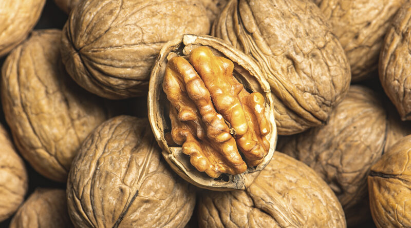 California Walnut Commission Invites Proposals from Agencies in Spain