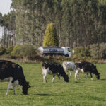 El Decálogo Sostenible de… Grupo Leche Celta El Decálogo Sostenible de… Grupo Leche Celta