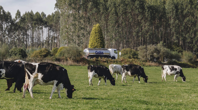 El Decálogo Sostenible de… Grupo Leche Celta El Decálogo Sostenible de… Grupo Leche Celta
