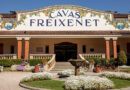 Grupo Freixenet pasa a llamarse Freixenet Iberia en España