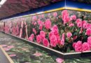 Herbal Essences convierte el Metro de Madrid en un jardín de rosas