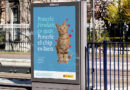 ‘Buenos Vecinos’, una campaña que vela por la protección y bienestar de los animales