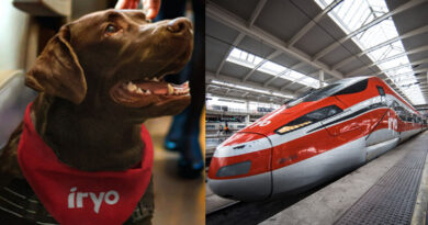 El operador lanza una tarifa especial de precio fijo para el transporte de estas mascotas, con un coste de 40 euros por trayecto