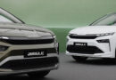 Jungle se hace con la cuenta de Škoda