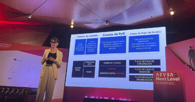 Lucía Egea, vicedecana del IE Business School durante su ponencia en AEVEA & Co