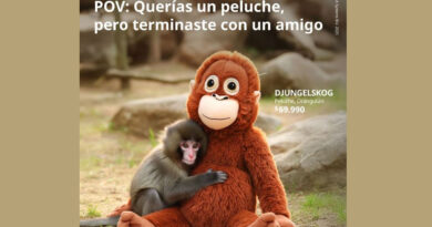 El orangután creado por Ikea para ser uno de los peluches favoritos de los niños, se convirtió en la familia elegida de un mono real