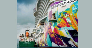 Repsol ofrecerá una cartera de combustibles renovables, incluidos biocombustibles y metanol renovable