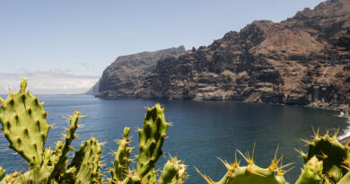 Initiative obtuvo la puntuación más alta del proceso, un resultado que, de acuerdo con la organización, avala la solidez y el carácter diferencial de su propuesta