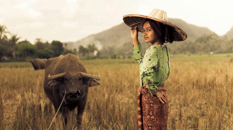 Las claves de los viajes de incentivo en 2026, según BCD Meetings & Events Las claves de los viajes de incentivo en 2026, según BCD Meetings & Events