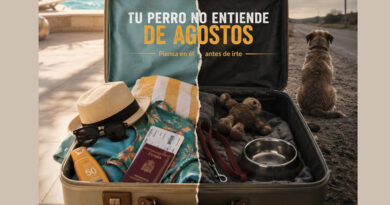 La campaña pone el foco en la falta de previsión como uno de los factores que pueden derivar en el abandono