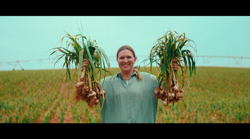 Agroseguro ensalza la labor de agricultores y ganaderos en su última campaña