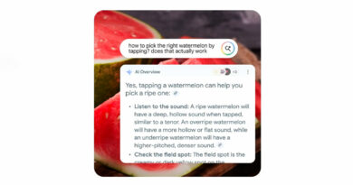 AI Overviews acapara una de cada seis consultas en Google