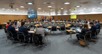 ayuda pymes españolas