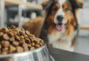 Europa gasta 29.300 millones de euros en comida saludable para sus mascotas
