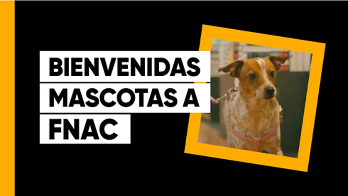 Escándalo En la cabeza de molino Fnac da la bienvenida a las mascotas en sus establecimientos