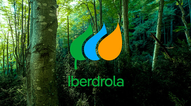 Iberdrola presenta nuevo branding enfocado a la sostenibilidad