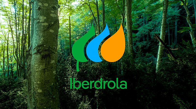 Iberdrola Presenta Nuevo Branding Enfocado A La Sostenibilidad