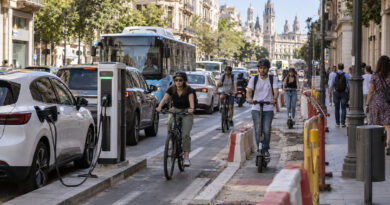 En los próximos años, convivirán vehículos de combustión, híbridos y eléctricos