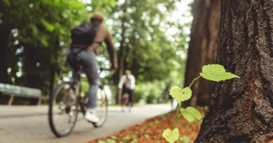 El ranking de los cinco servicios de movilidad sostenible más consultados en España lo encabeza Cooltra, con una media de 61.644 usuarios online, posee alquiler de motos eléctricas y  presencia también en bicicletas