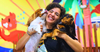 Dogs in Town opera como alojamiento 24/7, abierto los 365 días del año, con supervisión constante y un equipo especializado en comportamiento y bienestar canino