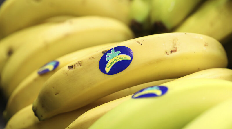 Plátano de Canarias. De producto en riesgo a una de las marcas más queridas de España Plátano de Canarias. De producto en riesgo a una de las marcas más queridas de España