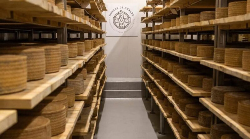 El queso premiado está elaborado con leche cruda, fresca y recién ordeñada de oveja manchega