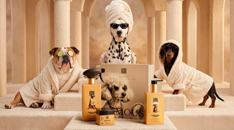 Rituals se dirige a los compañeros caninos con Rituals Dog Care Rituals se dirige a los compañeros caninos con Rituals Dog Care