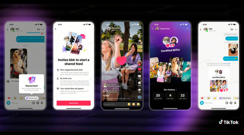 TikTok lanza los feed de vídeos para grupos de chat